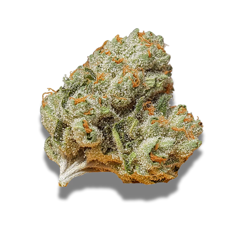 22/1 MD Cookies: Medellin