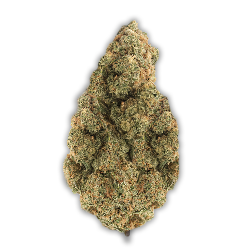 Cannamedical Sativa Forte NM: Gelato Dream