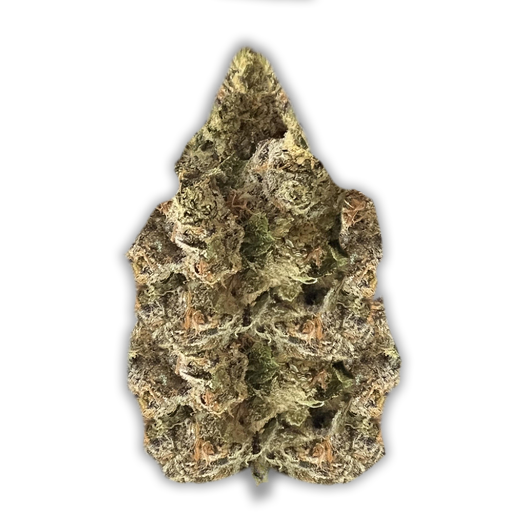LOT 420 GLT: Gelato33