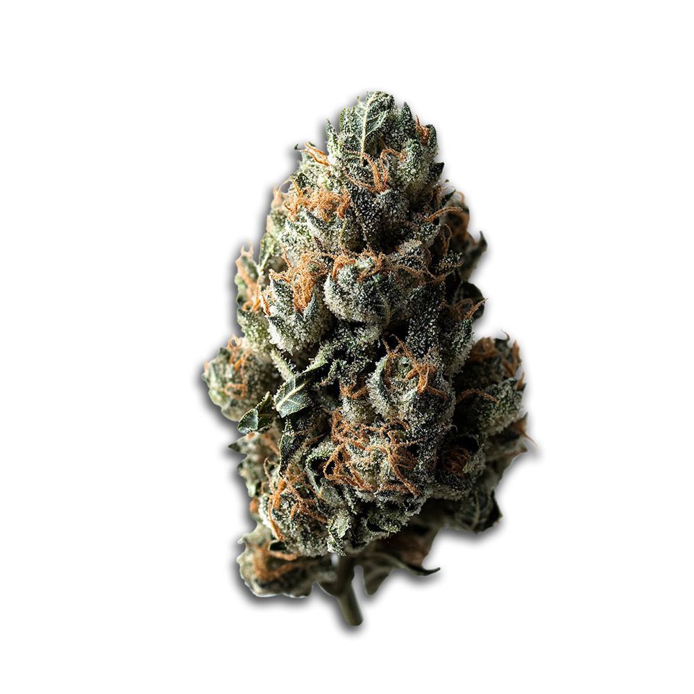Huala 22/1 CA ALM: Alien Mints