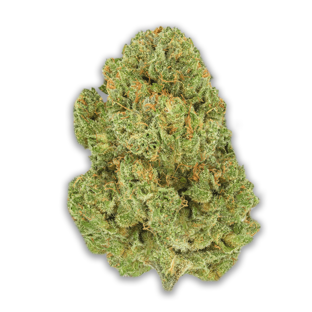 Pedanios 10/13 MBE- CA: Moon Berry