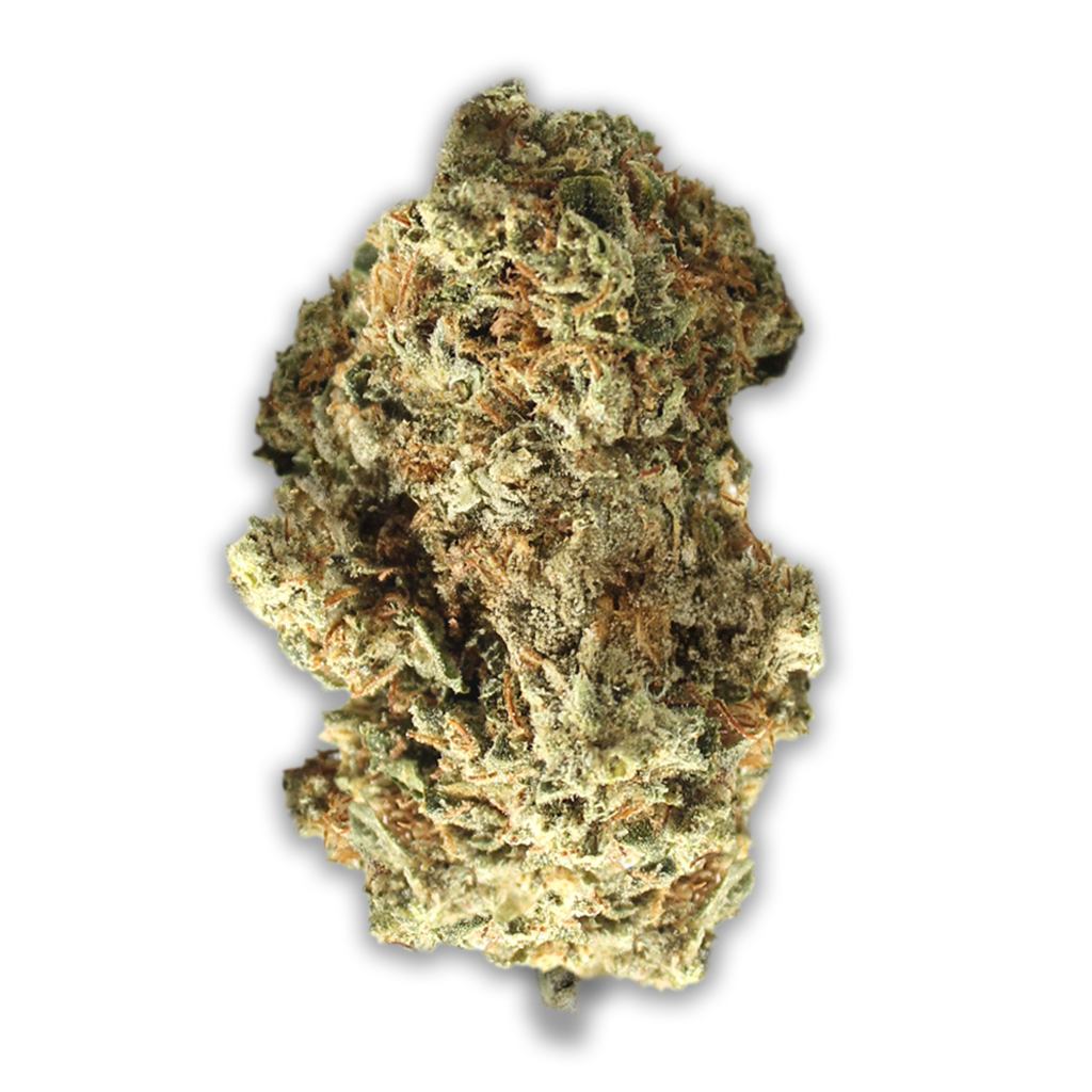 Pedanios 22/1: Ghost Train Haze