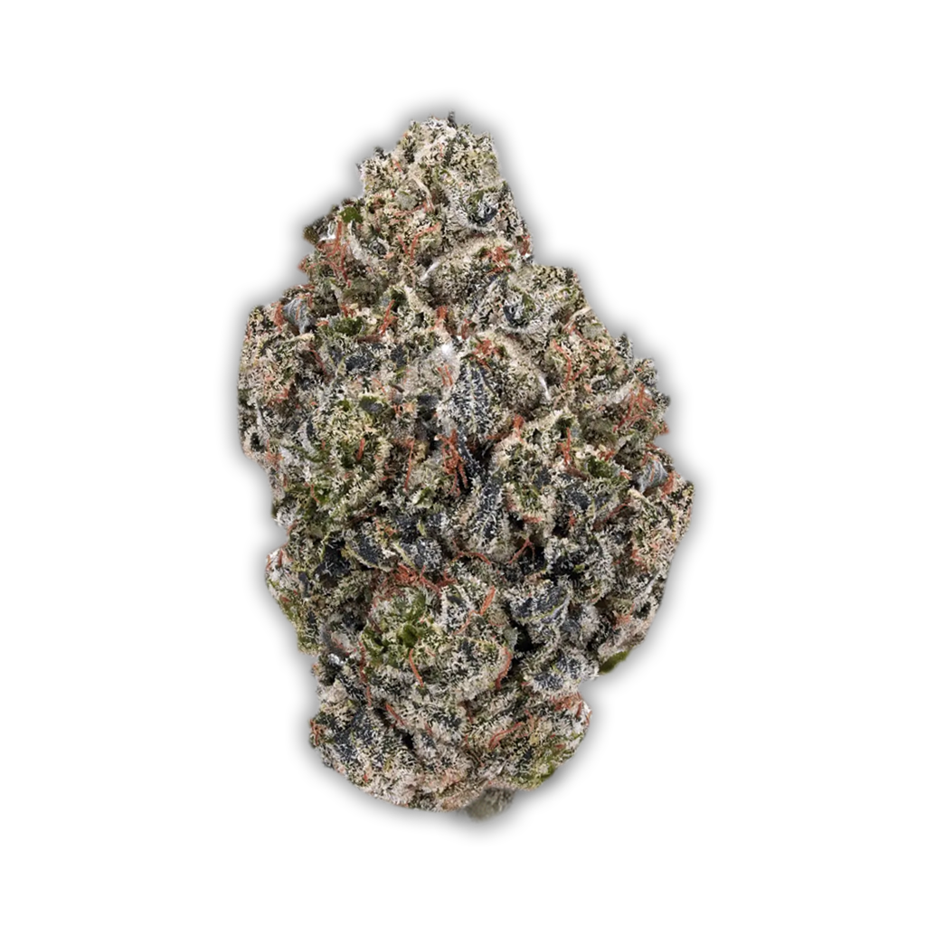 Remexian 24/1 GCC BBG: GG4 x Blueberry