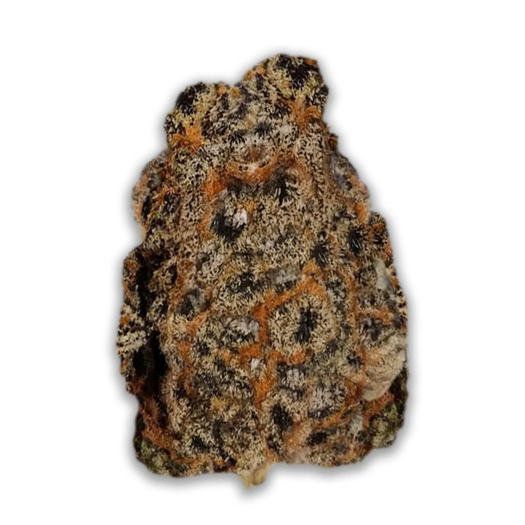 Remexian 27/1 HCC PBB: Peanut Butter Breath