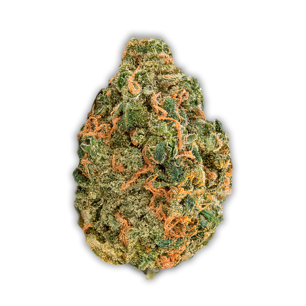 Zoiks 26/1 LK: OG Lime Kush