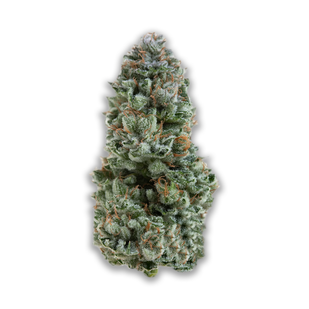 aleph ruby 24/1: Kosher Tangie